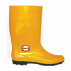Protective Footwear (3)